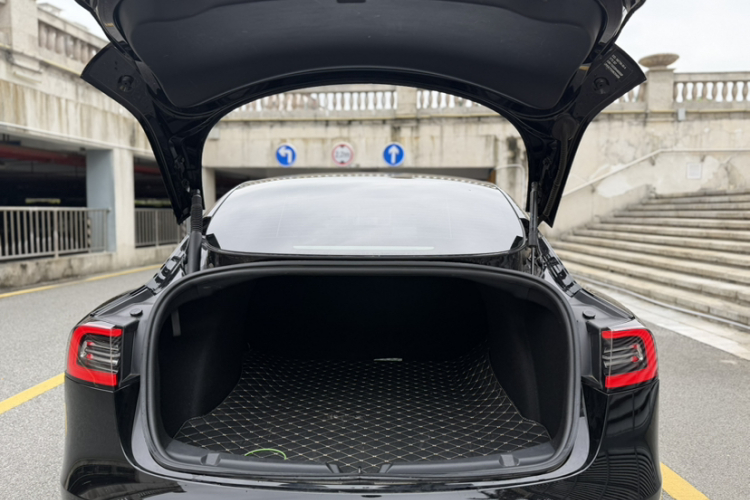 Tesla Model 3 2021 #9 Tesla Model 3 2021 immagine di auto #9