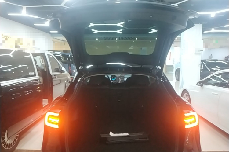 Tesla Model Y 2023 #19 Tesla Model Y 2023 car image #19