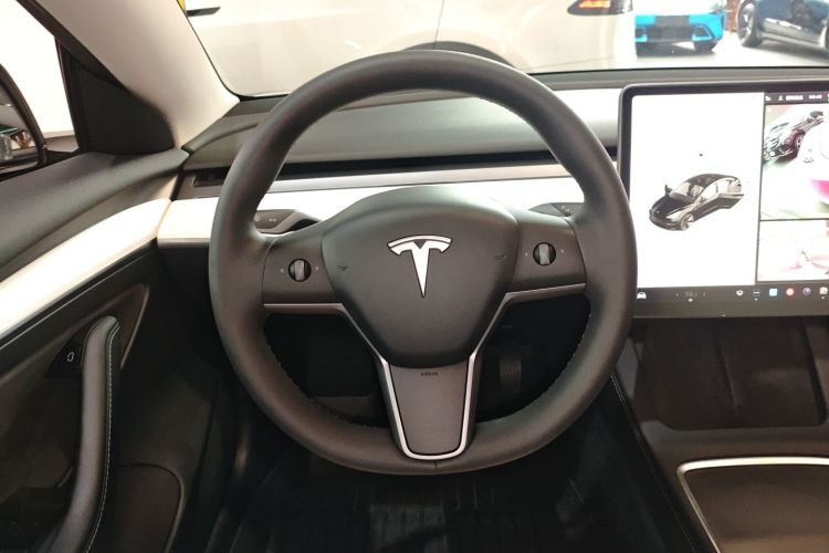 Tesla Model 3 2021 #11 Tesla Model 3 2021 car image #11