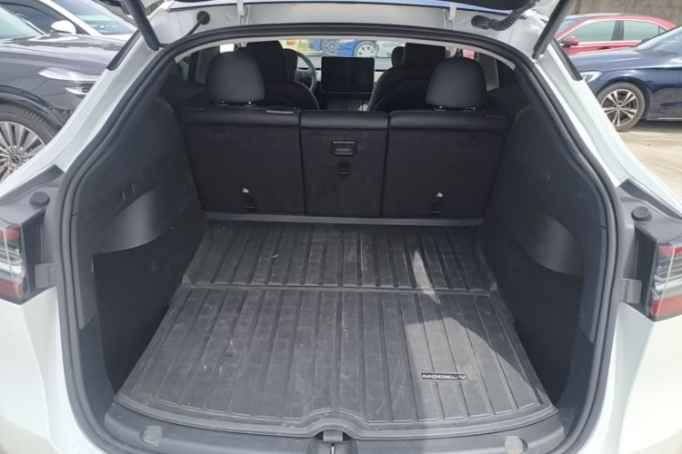 Tesla Model Y 2023 car image #19