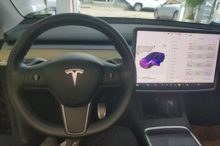 Tesla Model Y 2021 car image #10
