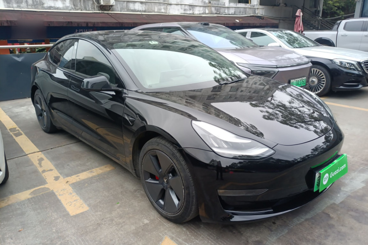 Tesla Model 3 2020 car image #6