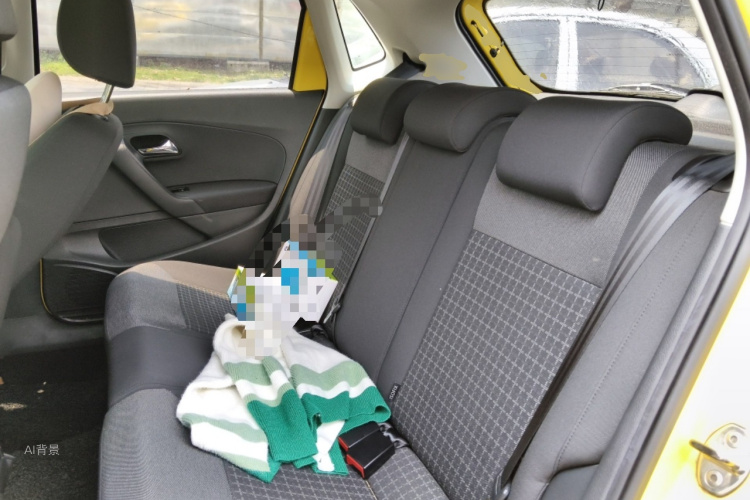 Volkswagen Polo 2016 car image #19