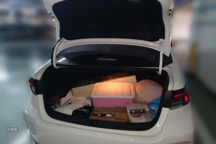 Toyota Corolla 2019 car image #21