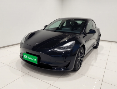 Tesla Model 3 2021 car image 