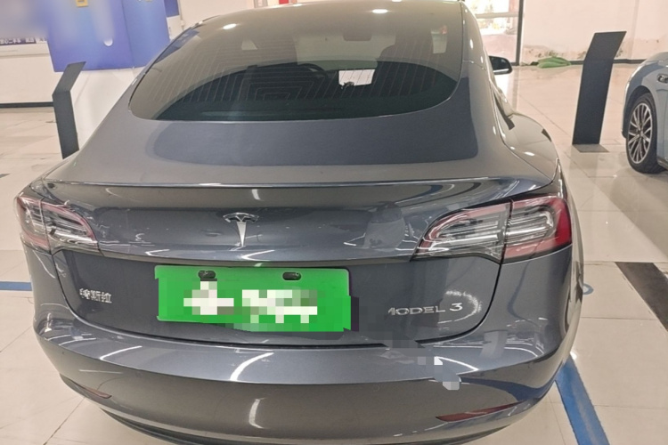 Tesla Model 3 2020 car image #6