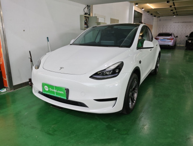 Tesla Model Y 2024 car image 