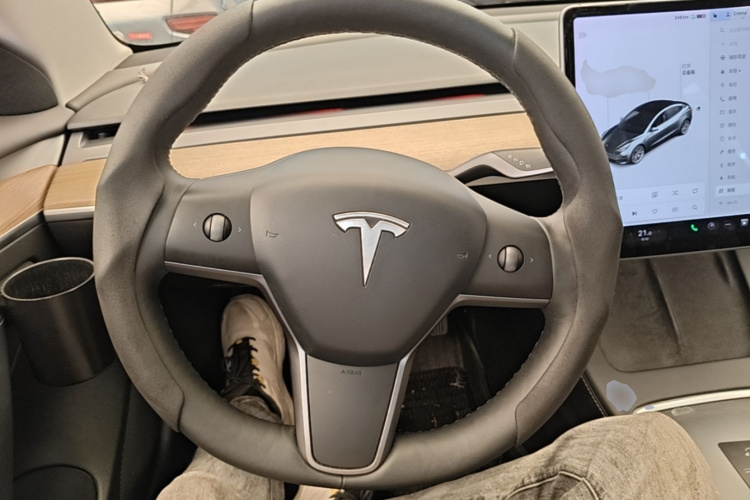 Tesla Model 3 2021 car image #11