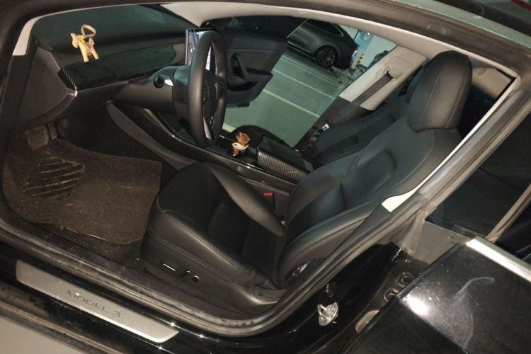 Tesla Model 3 2020 car image #19