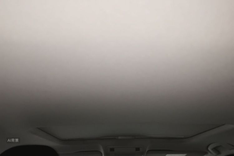 Volkswagen Bora 2019 car image #20