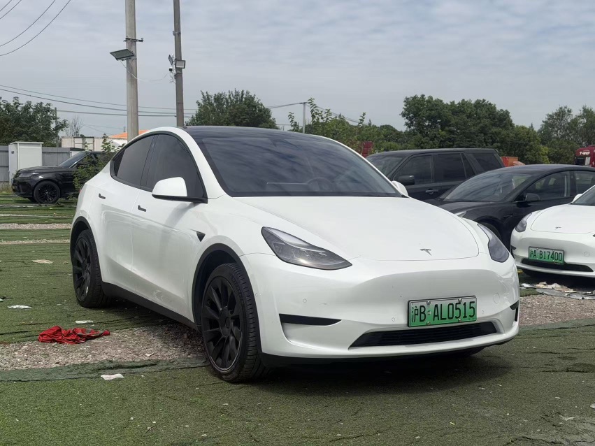 Tesla Model Y 2024 car image #3