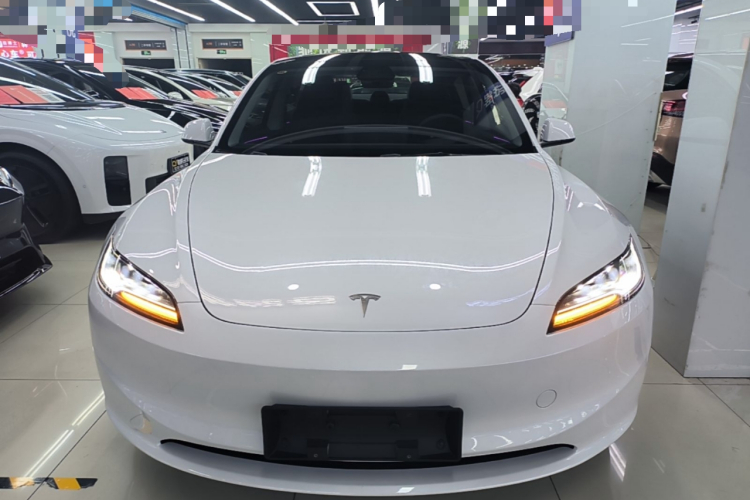 Tesla Model 3 2024 immagine di auto #3