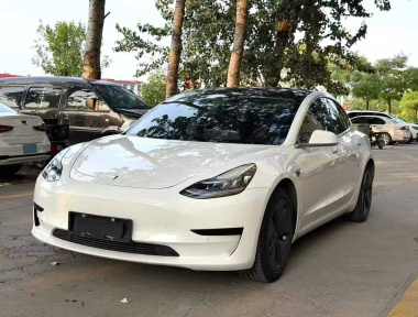 Tesla Model 3 2020 Tesla Model 3 2020 immagine di auto