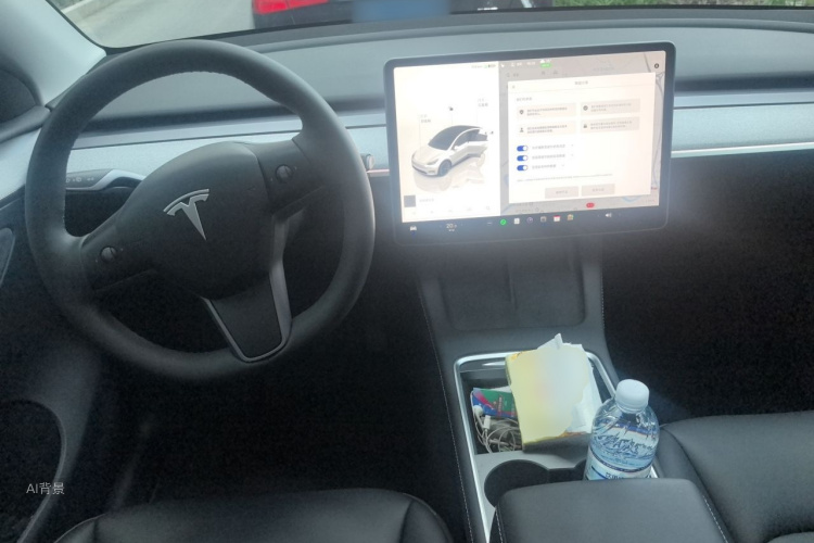 Tesla Model Y 2024 car image #11