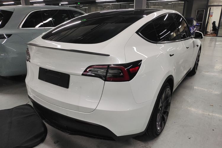 Tesla Model Y 2023 #7 Tesla Model Y 2023 car image #7