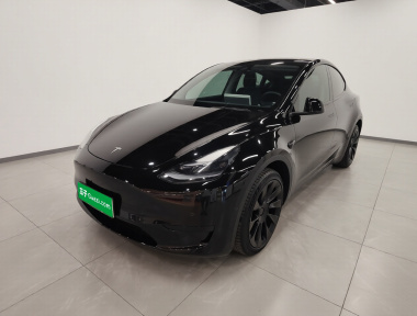 Tesla Model Y 2023 Tesla Model Y 2023 car image