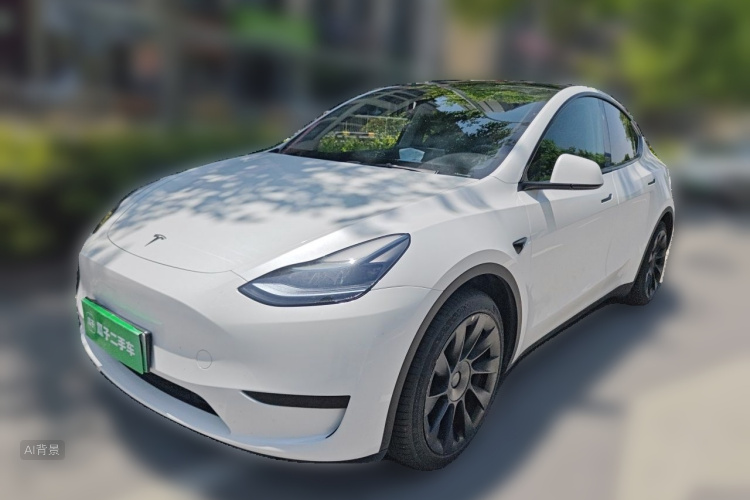 Tesla Model Y 2024 car image #2
