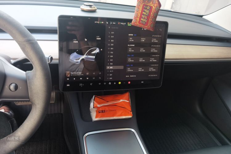 Tesla Model 3 2022 #15 Tesla Model 3 2022 car image #15