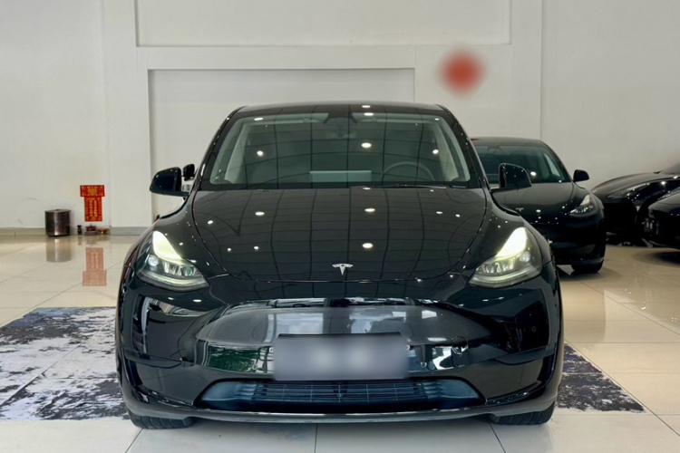 Tesla Model Y 2023 #10 Tesla Model Y 2023 car image #10