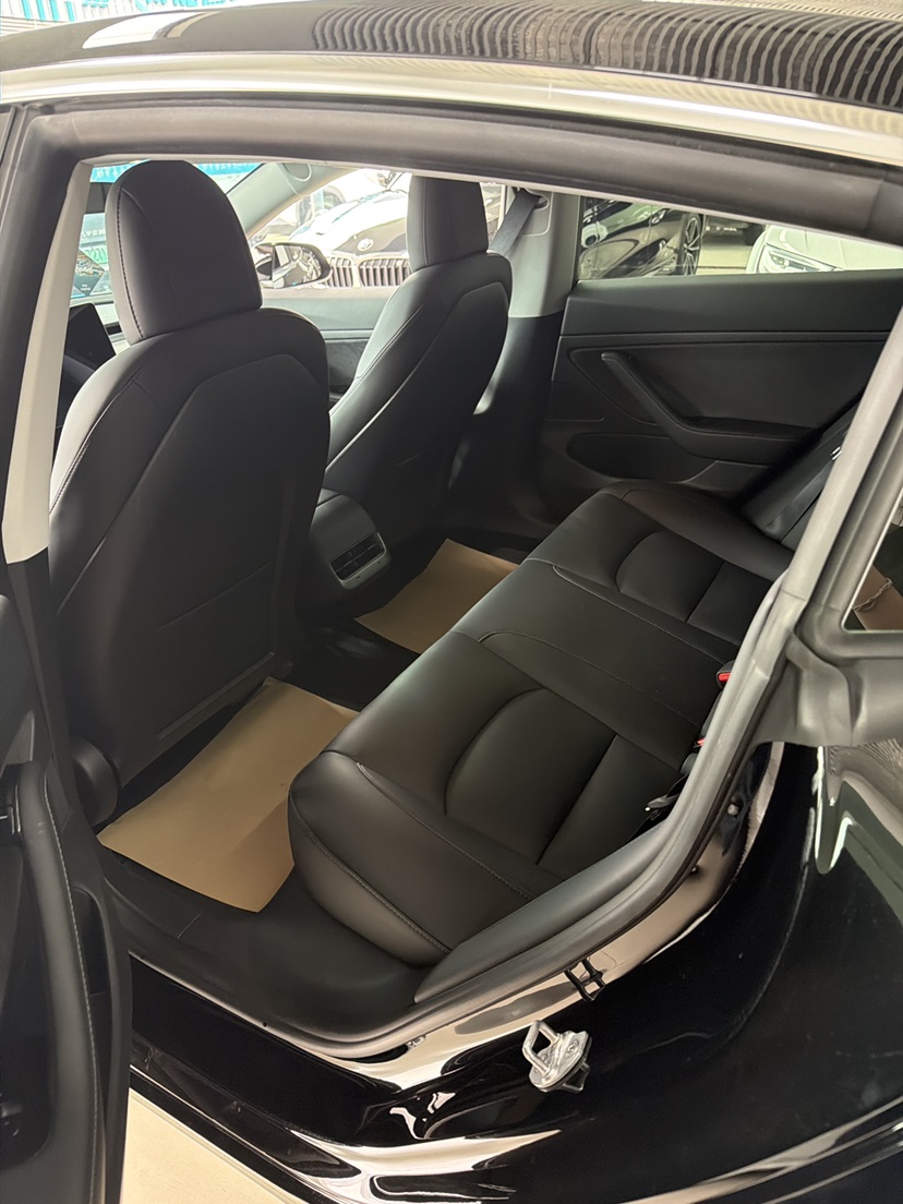 Tesla Model 3 2020 car image #3