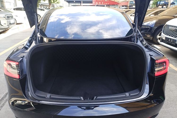 Tesla Model 3 2020 #19 Tesla Model 3 2020 car image #19