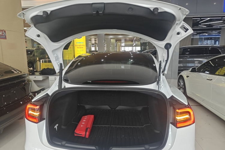 Tesla Model 3 2023 #19 Tesla Model 3 2023 car image #19