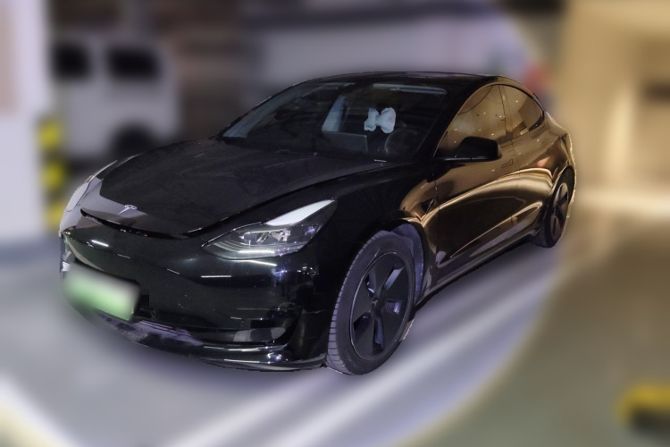 Tesla Model 3 2021 #2 Tesla Model 3 2021 immagine di auto #2