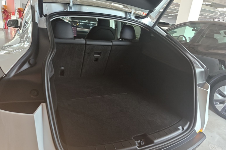 Tesla Model Y 2025 car image #19