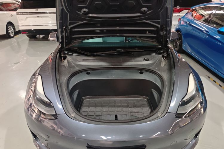Tesla Model 3 2021 #22 Tesla Model 3 2021 immagine di auto #22