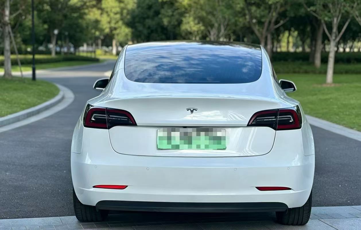 Tesla Model 3 (Imported) 2019 #6 Tesla Model 3 (Imported) 2019 car image #6