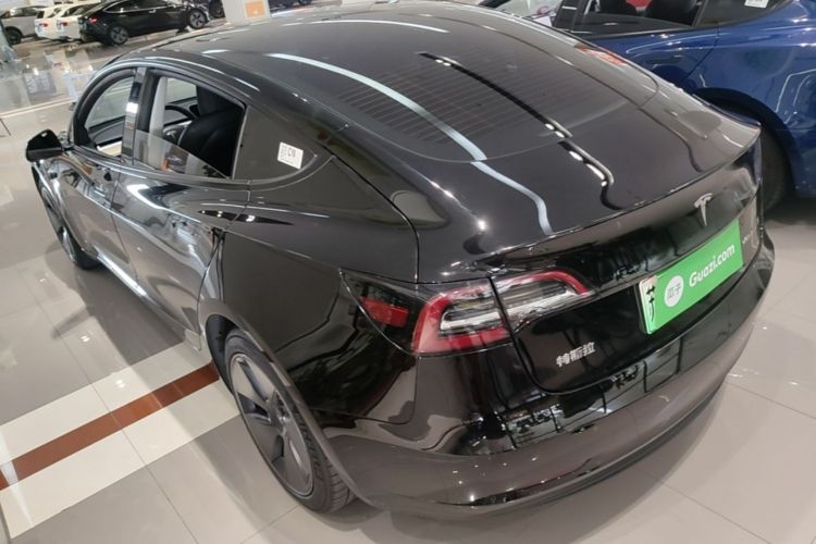 Tesla Model 3 2021 #5 Tesla Model 3 2021 car image #5