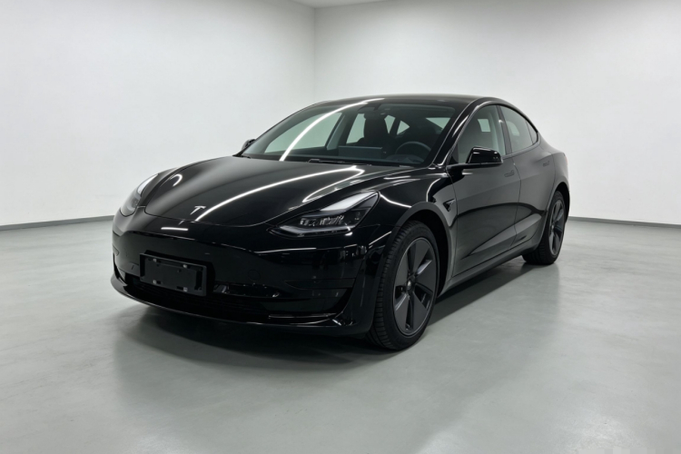 Tesla Model 3 2023 #2 Tesla Model 3 2023 car image #2