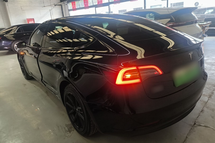 Tesla Model 3 2020 car image #5