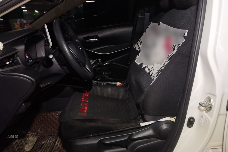 Toyota Corolla 2021 car image #17