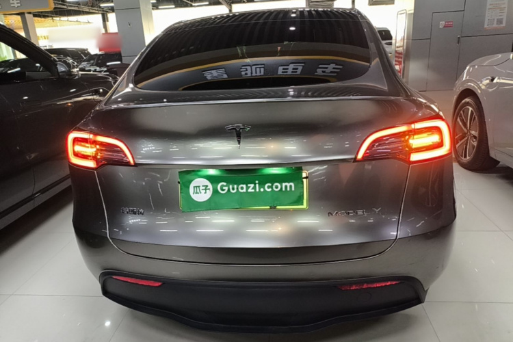 Tesla Model Y 2023 car image #6