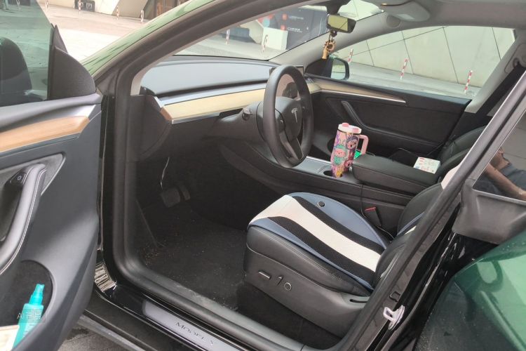 Tesla Model Y 2023 car image #18