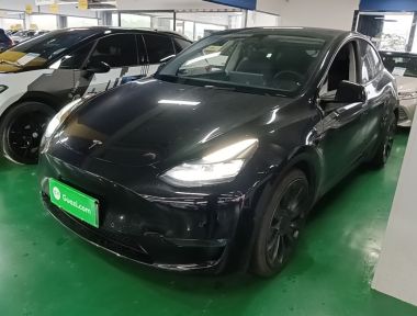 Tesla Model Y 2023 car image 