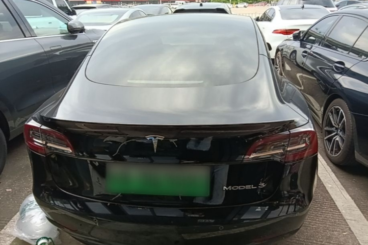Tesla Model 3 2023 #6 Tesla Model 3 2023 car image #6
