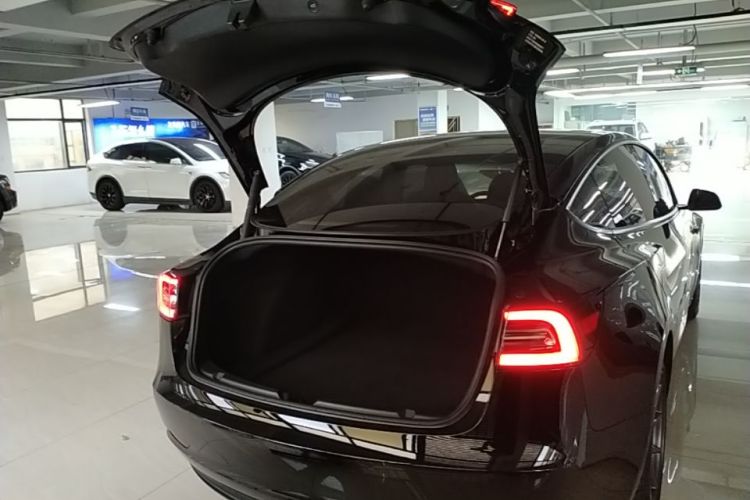 Tesla Model 3 2021 #19 Tesla Model 3 2021 car image #19