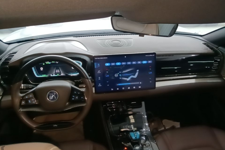BYD Han 2022 immagine di auto #10