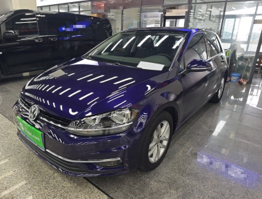 Volkswagen Golf 2019 car image 