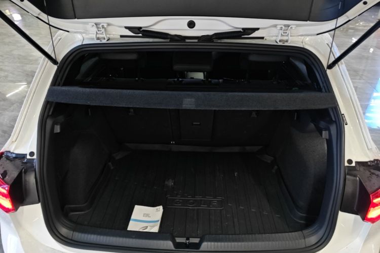 Volkswagen Golf 2022 #19 Volkswagen Golf 2022 car image #19