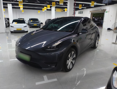 Tesla Model Y 2023 Tesla Model Y 2023 car image