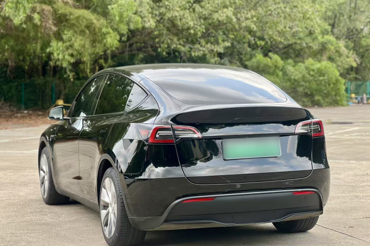 Tesla Model Y 2023 #10 Tesla Model Y 2023 car image #10