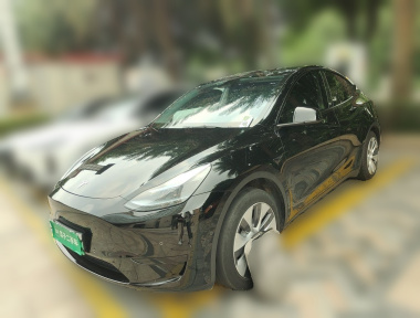 Tesla Model Y 2023 Tesla Model Y 2023 car image