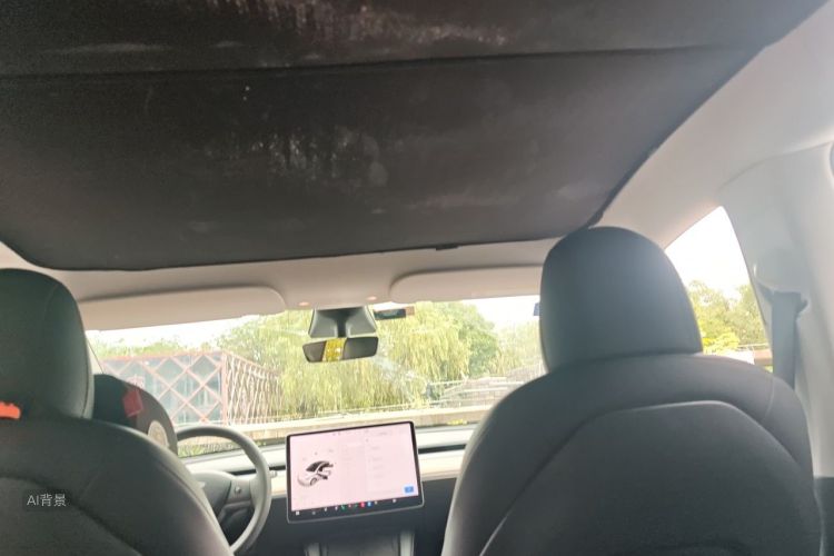 Tesla Model Y 2021 #20 Tesla Model Y 2021 car image #20