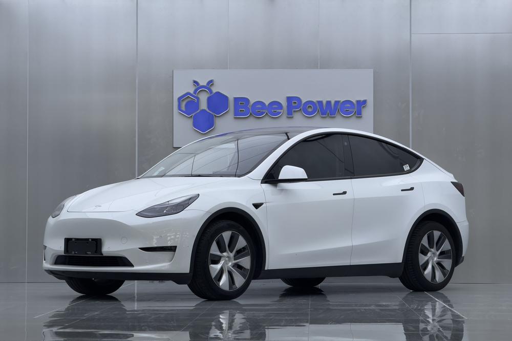 Tesla Model Y 2021 car image 