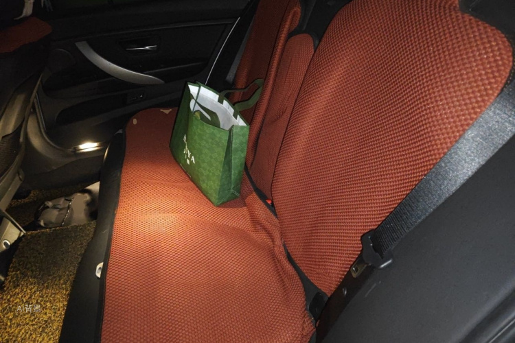 BMW 3 Series 2015 car image #19