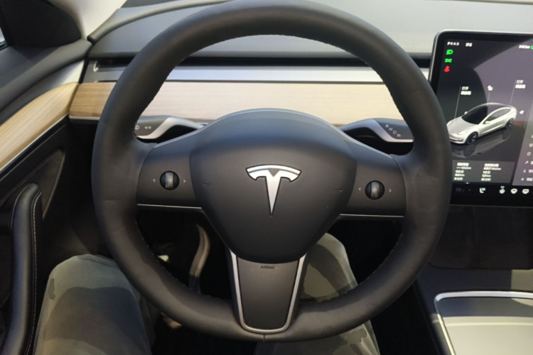 Tesla Model 3 2023 car image #11