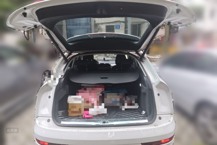 Audi Q3 2018 car image #21